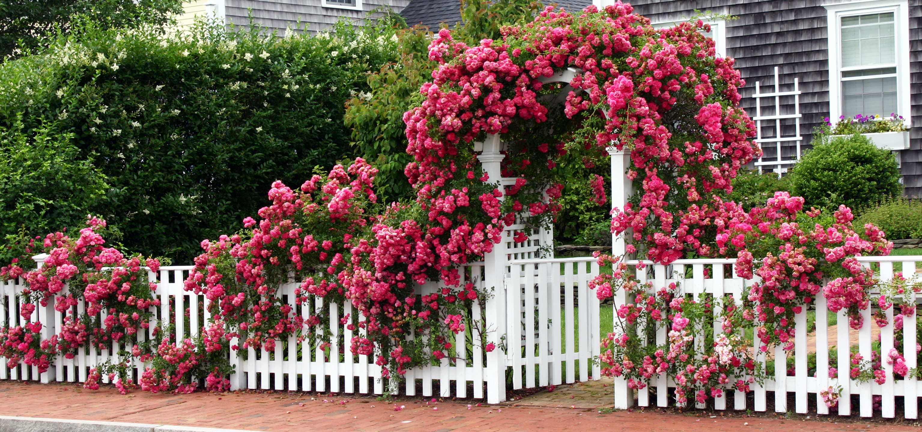 IMG_2167F-Castle of Roses_Nantucket, Massachusetts