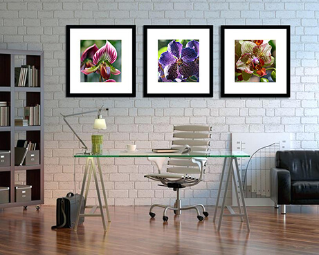 Homepage-Charming Orchid Office