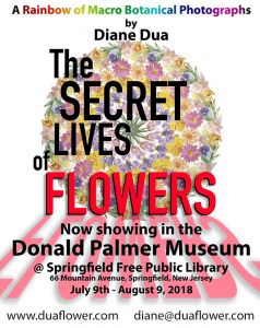 The Secret Lives of Flowers