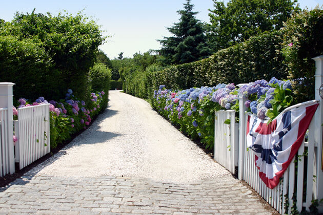 Web-IMG_6924_Hydrangea Carriageway_Nantucket, Massachusetts Hydrangea Carriageway_Nantucket, Massachusetts