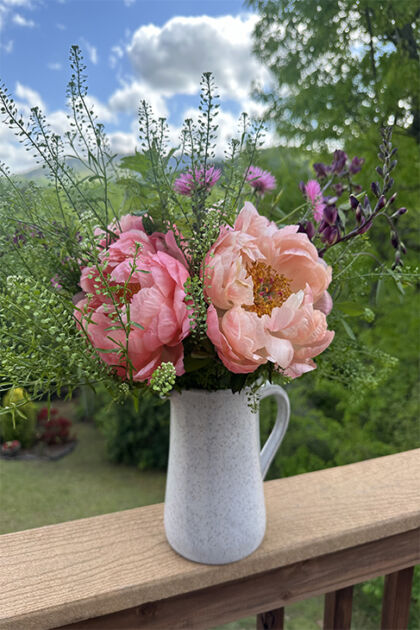 smoky mountain peonies